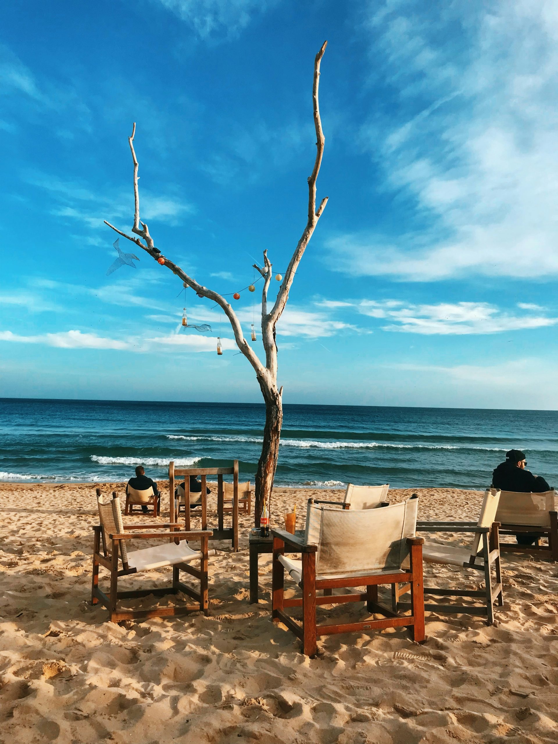 Заведения и култура